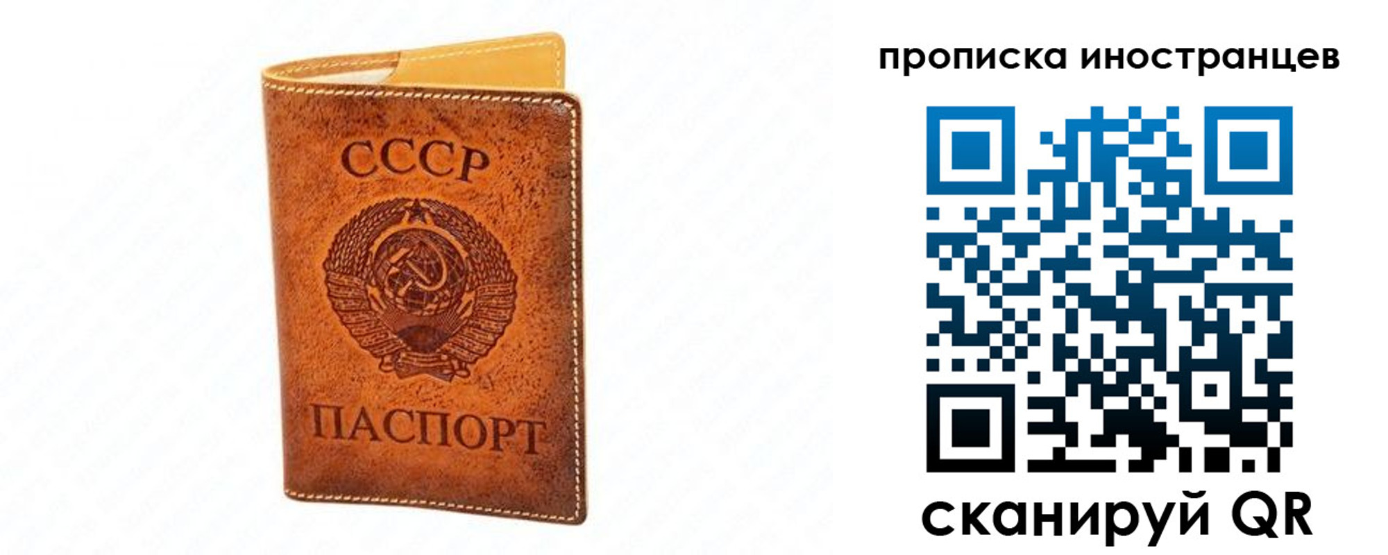 прописка для школы в Протвино